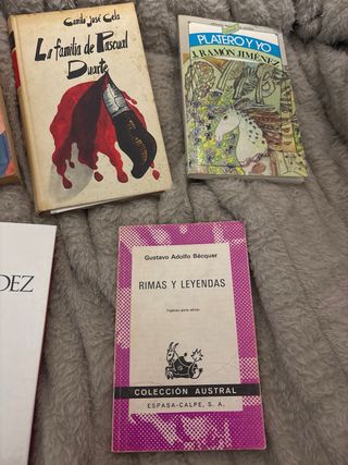 Lote de libros