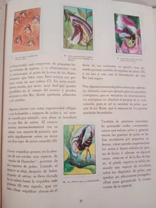 Álbum Las Maravillas del Universo Nestlé