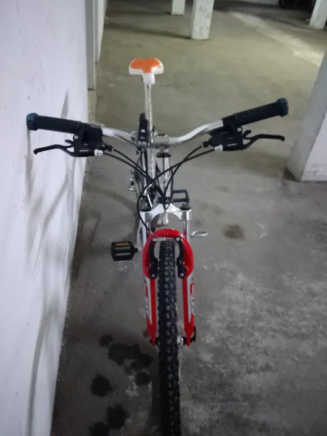 Bicicleta de montaña plateada