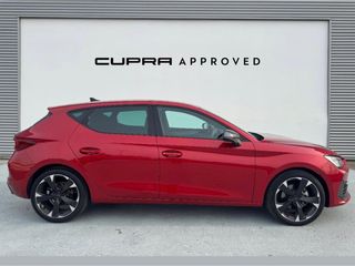 Cupra León 1.5 eTSI 110kW (150CV) DSG