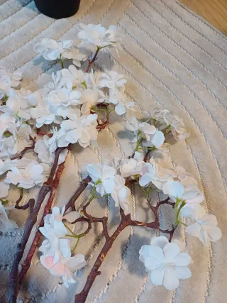 7 Ramas de flores de cerezo