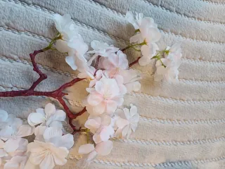 7 Ramas de flores de cerezo