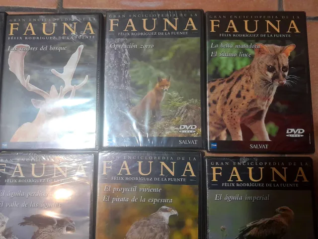 DVD Gran Enciclopedia Fauna