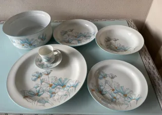 Servizio piatti Richard Ginori fiori blu