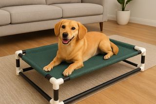 Cama elevada perro/gato