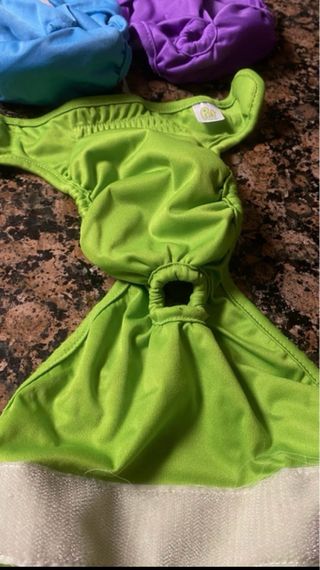 Pannolini per cani riutilizzabili