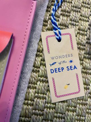 Bolso Sticky Lemon Naranja y Rosa