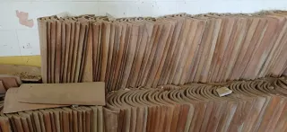 Teja curva de derribo