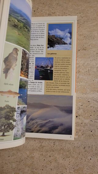 Guía turística y de viaje Pais Vasco