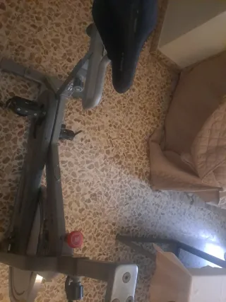 Bicicleta de Spinning Gris
