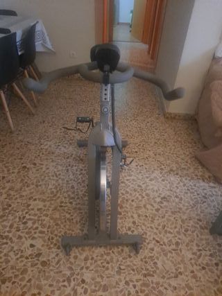 Bicicleta de Spinning Gris