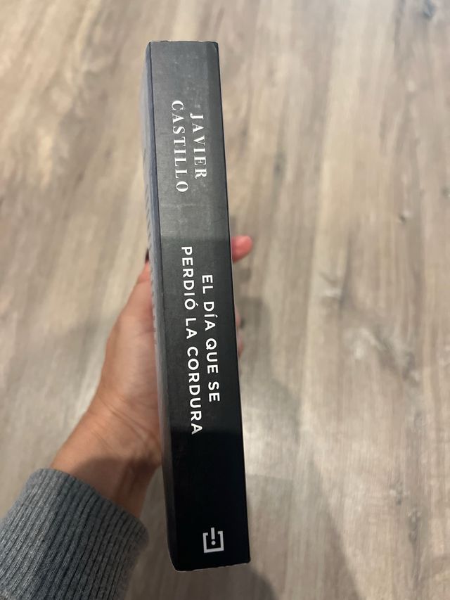 Libro “El día que se perdió la cordura”