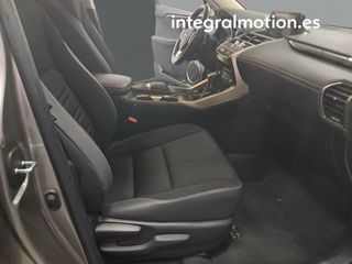 Lexus NX 2.5 300h Business 2WD