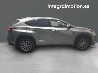 Lexus NX 2.5 300h Business 2WD