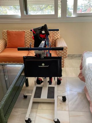 Grua cambia pañales de bipedestación