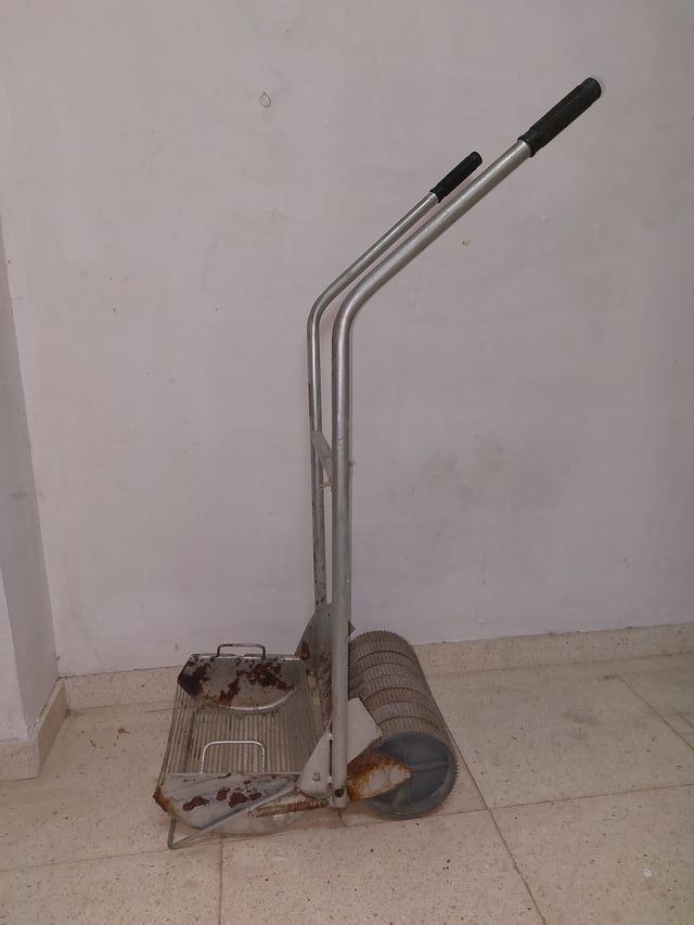 Recoge aceitunas manual