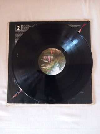 Cat Steven Foringer 1973 Island records UK