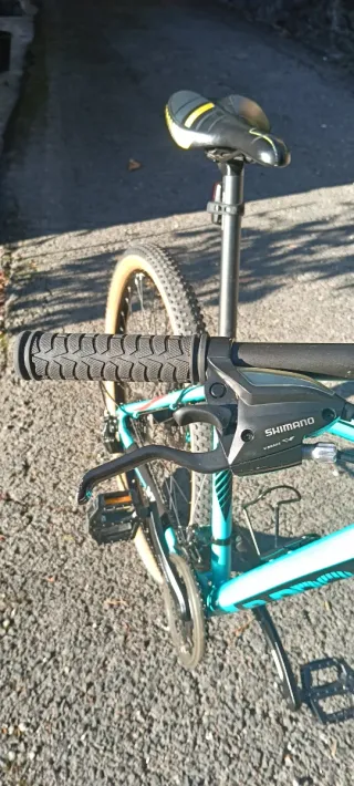 Bici Montaña Aro 29'/21v Shimano