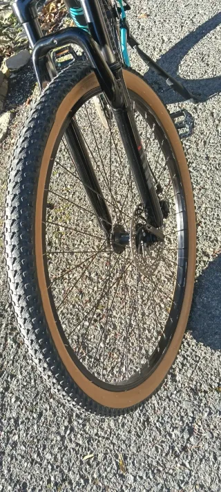 Bici Montaña Aro 29'/21v Shimano