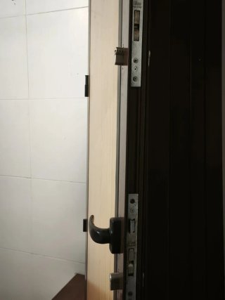 Puerta blindada (sin marco)