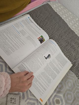 Filosofía. 1 Bachillerato. Revuela