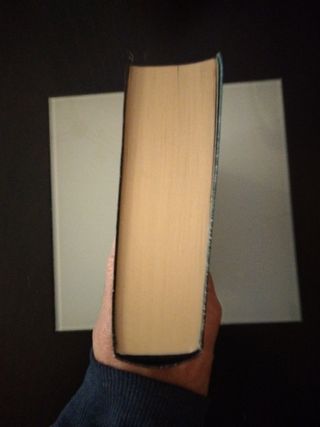 La rebelión de los buenos: Premio de Novela Fer...