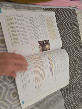 Lengua castellana y Literatura. 1 Bachillerato....