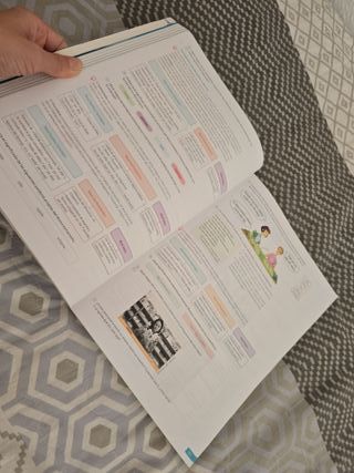 Lengua castellana y Literatura. 1 Bachillerato....