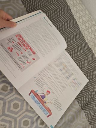 Lengua castellana y Literatura. 1 Bachillerato....