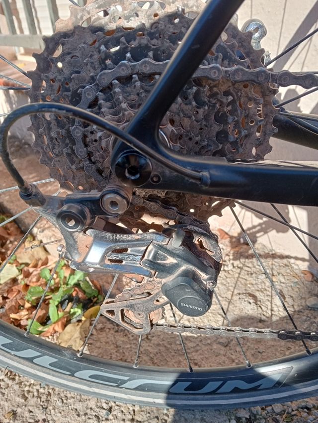 Bicicleta Gravel Eléctrica Windiee