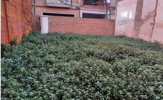 Terreno en venta en Camino de Onda - Salesianos - Centro en Burriana
