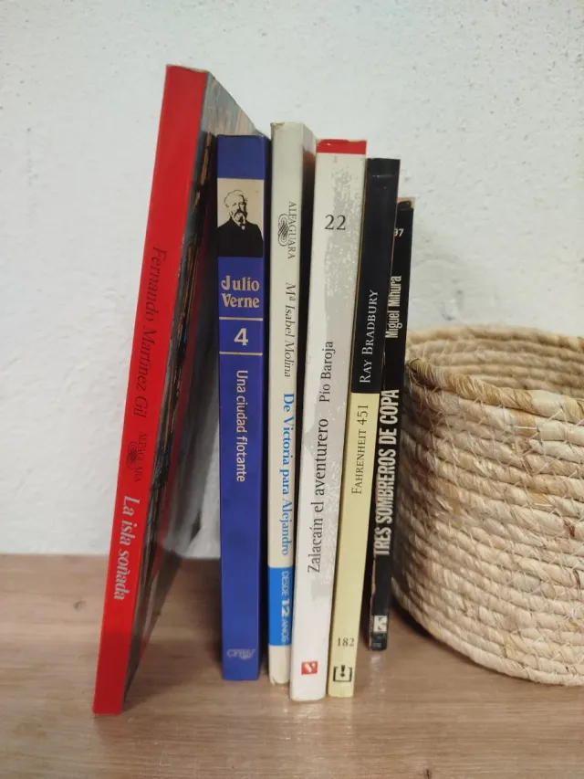 Lote de 6 libros