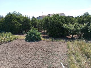 Terreno en venta en Alguazas