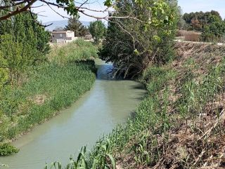 Terreno en venta en Alguazas