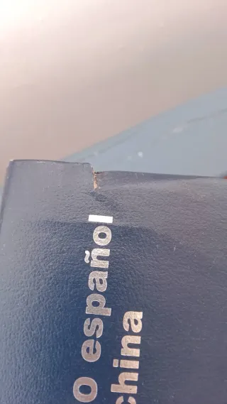 Dicc.español lengua china (Spanish Edition)