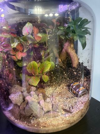 hermoso jardín artesanal