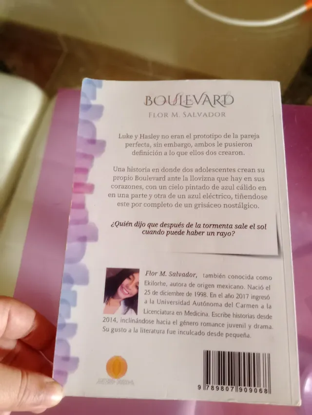 Boulevard (Spanish Edition)