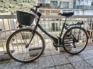 Bicicleta de paseo con cesta delantera