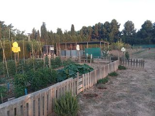 Solar en venta en San Pablo - Santa Teresa en Albacete