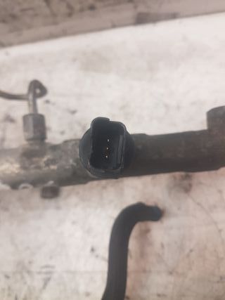 Rampa Inyectores Citroen Xara Coupe 2.0 HDI VTR