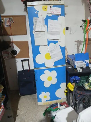 Nevera y congelador con diseño  de Agatha ruiz