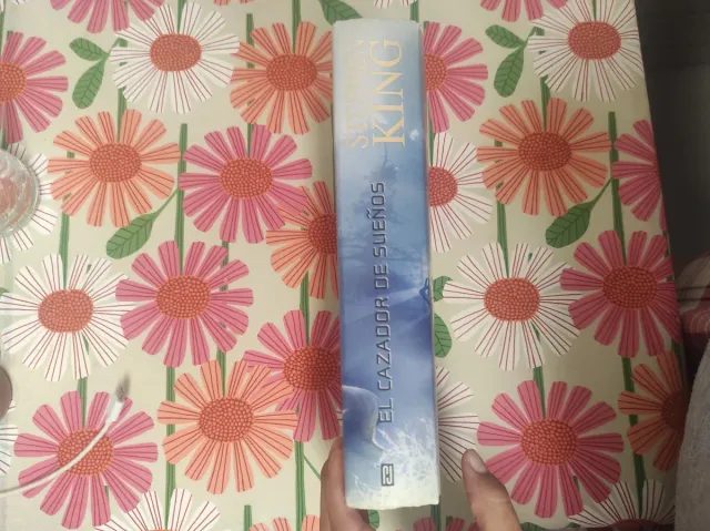 El Cazador De Suenos/Dream Catcher