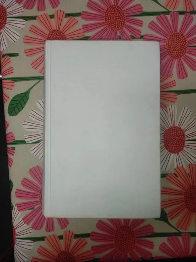 El Cazador De Suenos/Dream Catcher