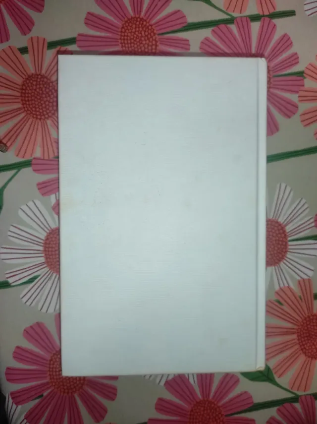 El Cazador De Suenos/Dream Catcher