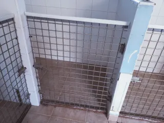 Puerta metálica para perros/gatos