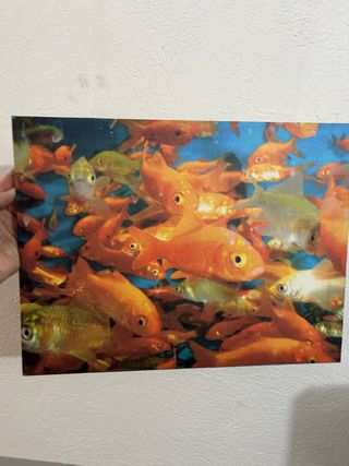 Cuadro Decorativo Peces Naranja y Azul