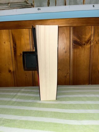 El año de la langosta