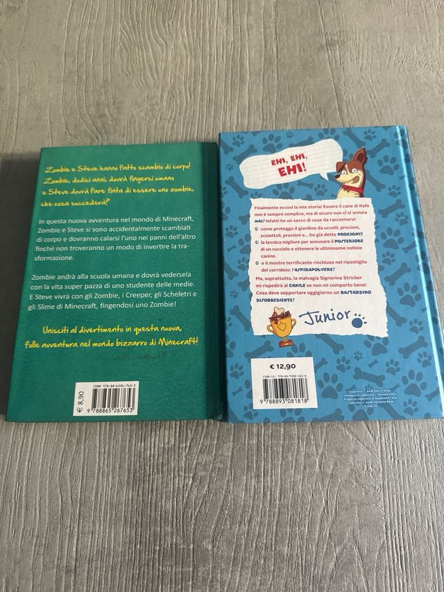 Diario di un Minecraft Zombie