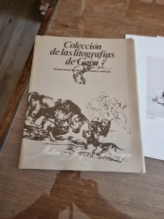 Collezione di litografie Goya - Federico Torralba