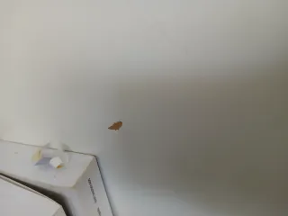 Mesa de trabajo blanca con cajón